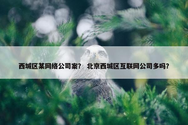 西城区某网络公司案？ 北京西城区互联网公司多吗？