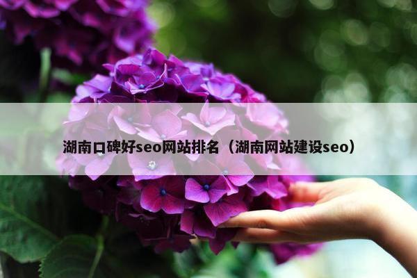 湖南口碑好seo网站排名（湖南网站建设seo）