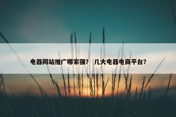 电器网站推广哪家强？ 几大电器电商平台？