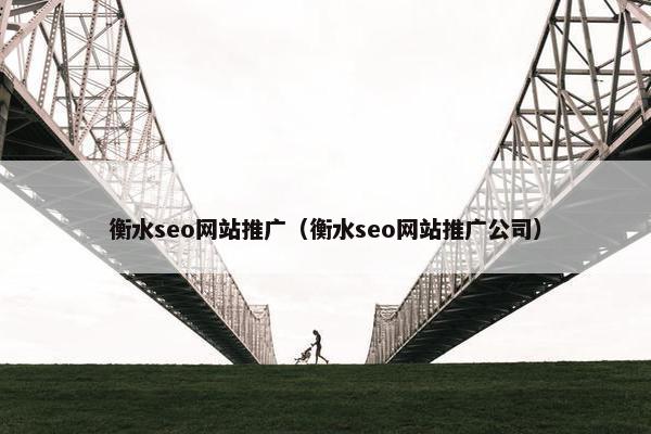 衡水seo网站推广（衡水seo网站推广公司）