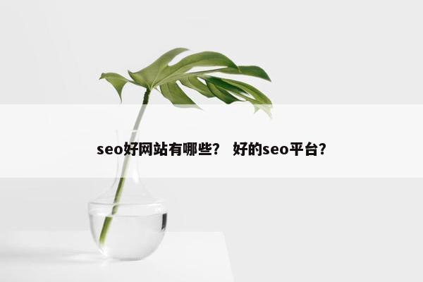 seo好网站有哪些？ 好的seo平台？