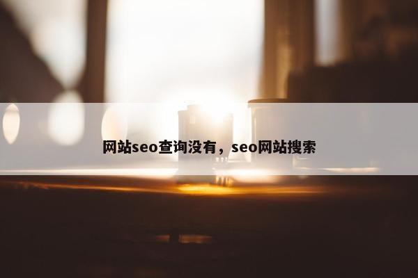 网站seo查询没有，seo网站搜索