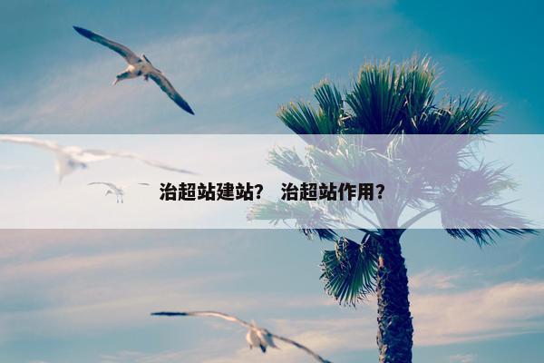 治超站建站？ 治超站作用？
