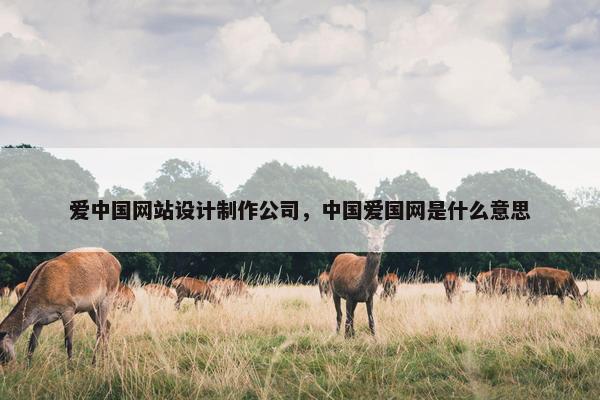 爱中国网站设计制作公司，中国爱国网是什么意思