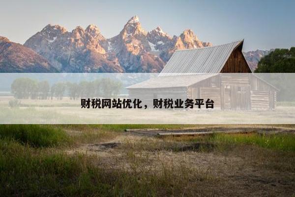 财税网站优化，财税业务平台