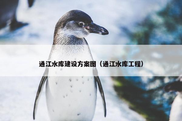 通江水库建设方案图（通江水库工程）