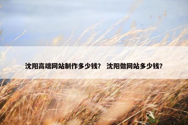 沈阳高端网站制作多少钱？ 沈阳做网站多少钱？