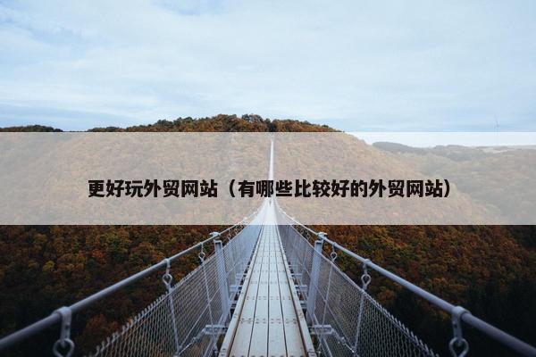 更好玩外贸网站（有哪些比较好的外贸网站）