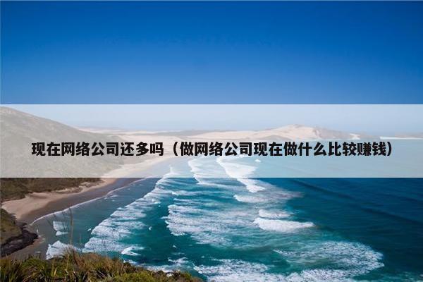 现在网络公司还多吗（做网络公司现在做什么比较赚钱）