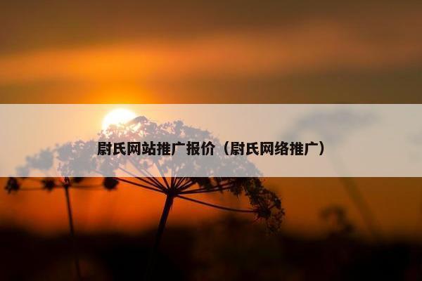 尉氏网站推广报价（尉氏网络推广）
