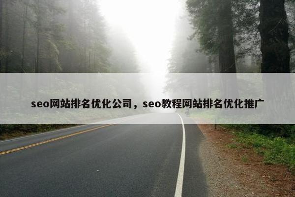 seo网站排名优化公司，seo教程网站排名优化推广