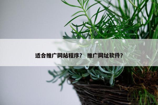 适合推广网站程序？ 推广网址软件？