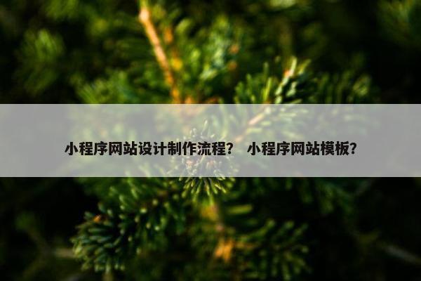 小程序网站设计制作流程？ 小程序网站模板？
