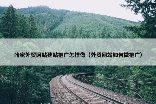 哈密外贸网站建站推广怎样做（外贸网站如何做推广）