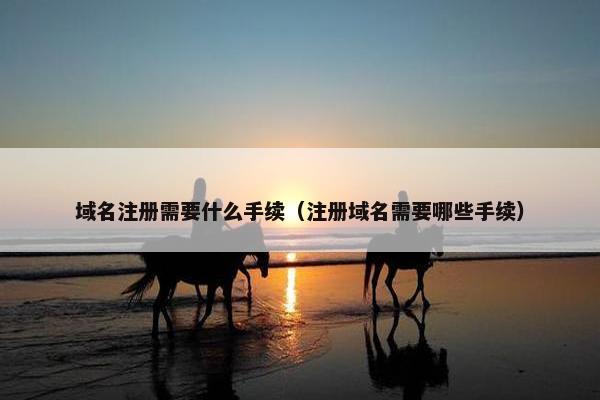 域名注册需要什么手续（注册域名需要哪些手续）