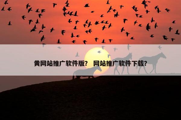 黄网站推广软件版？ 网站推广软件下载？
