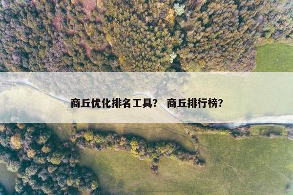 商丘优化排名工具？ 商丘排行榜？