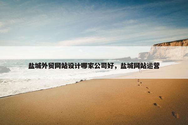 盐城外贸网站设计哪家公司好，盐城网站运营