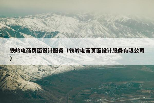 铁岭电商页面设计服务（铁岭电商页面设计服务有限公司）