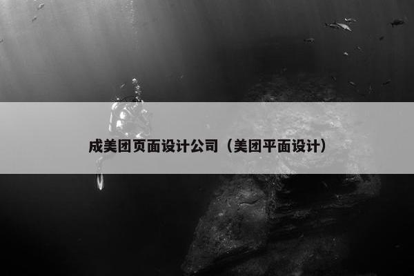 成美团页面设计公司（美团平面设计）