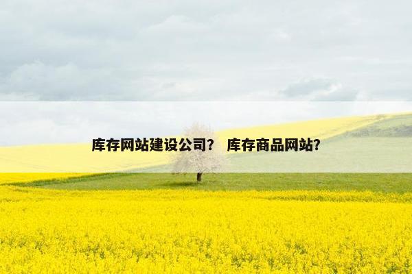 库存网站建设公司？ 库存商品网站？