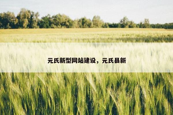 元氏新型网站建设，元氏县新