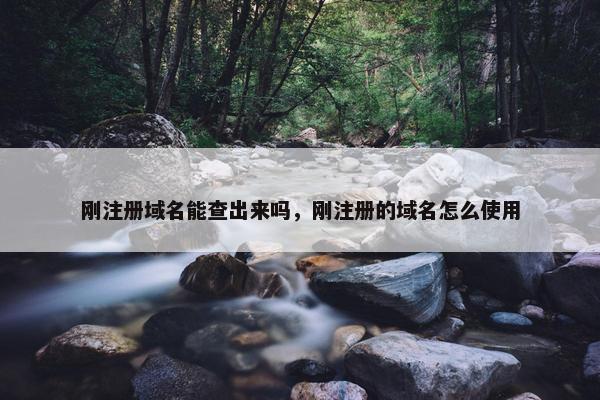 刚注册域名能查出来吗，刚注册的域名怎么使用