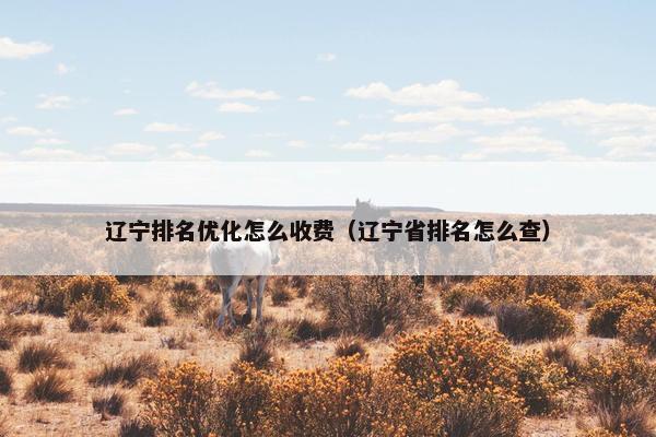 辽宁排名优化怎么收费（辽宁省排名怎么查）