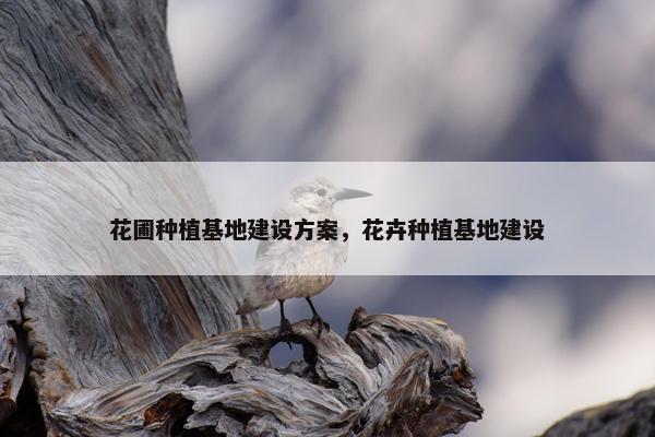 花圃种植基地建设方案，花卉种植基地建设