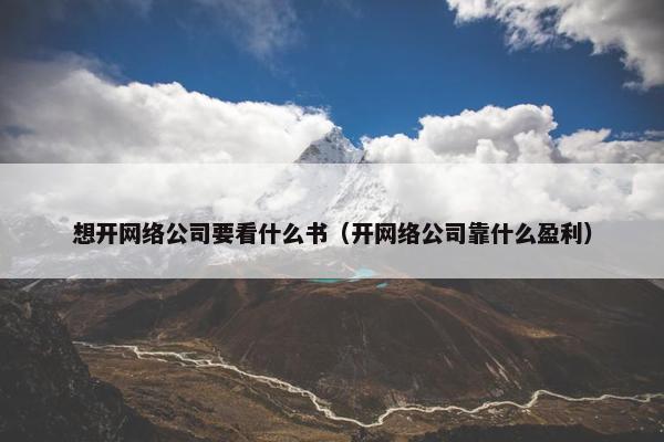 想开网络公司要看什么书（开网络公司靠什么盈利）