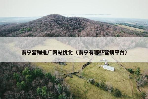 南宁营销推广网站优化（南宁有哪些营销平台）