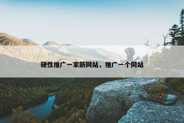 硬性推广一家新网站，推广一个网站