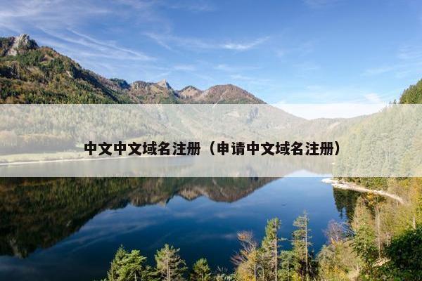 中文中文域名注册（申请中文域名注册）