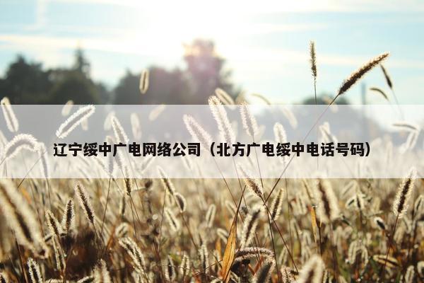 辽宁绥中广电网络公司（北方广电绥中电话号码）