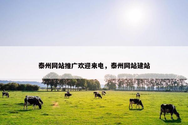 泰州网站推广欢迎来电，泰州网站建站