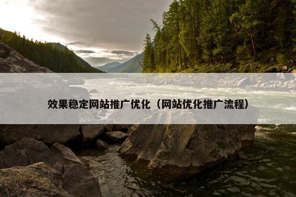 效果稳定网站推广优化（网站优化推广流程）