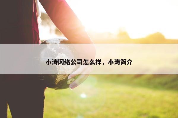 小涛网络公司怎么样，小涛简介