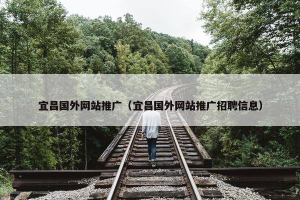 宜昌国外网站推广（宜昌国外网站推广招聘信息）