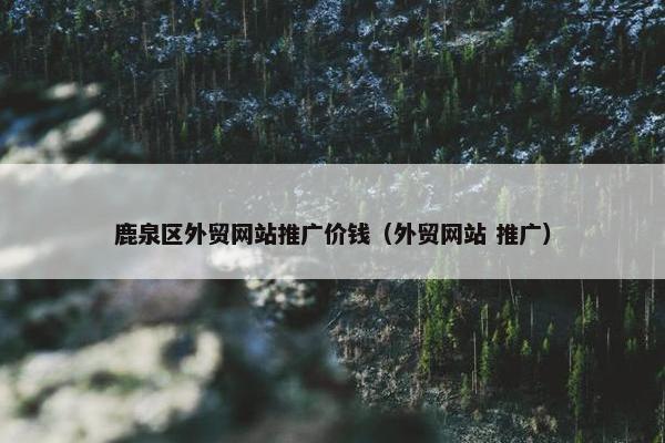 鹿泉区外贸网站推广价钱（外贸网站 推广）