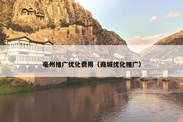 亳州推广优化费用（商城优化推广）