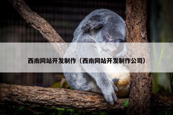 西南网站开发制作（西南网站开发制作公司）