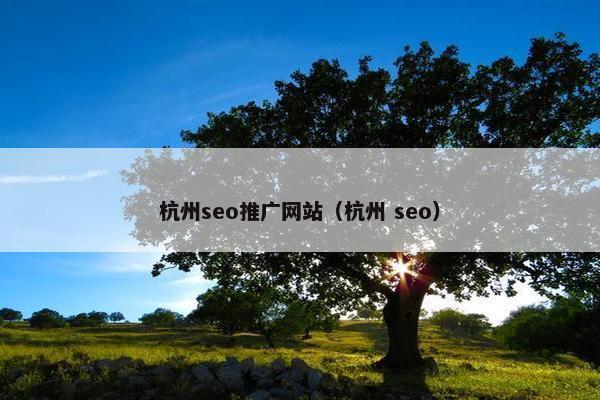 杭州seo推广网站（杭州 seo）