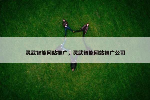 灵武智能网站推广，灵武智能网站推广公司