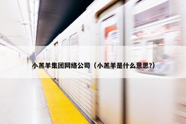 小羔羊集团网络公司（小羔羊是什么意思?）
