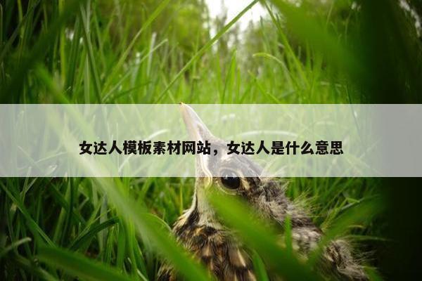女达人模板素材网站，女达人是什么意思