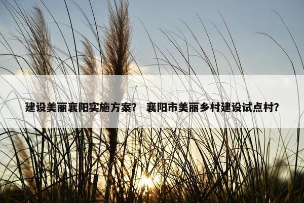 建设美丽襄阳实施方案？ 襄阳市美丽乡村建设试点村？