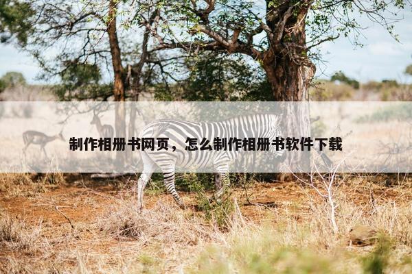 制作相册书网页，怎么制作相册书软件下载