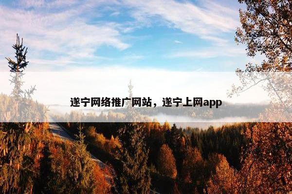遂宁网络推广网站，遂宁上网app