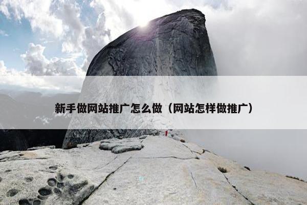 新手做网站推广怎么做（网站怎样做推广）