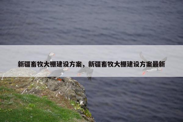 新疆畜牧大棚建设方案，新疆畜牧大棚建设方案最新